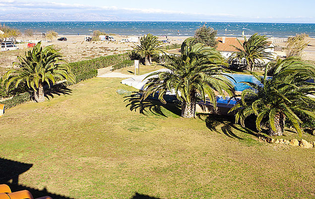 Royal Delta - Photo 7