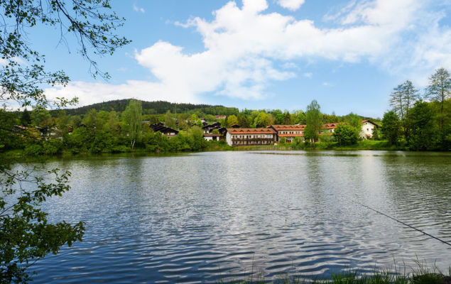 Am Hohen Bogen - Photo 6