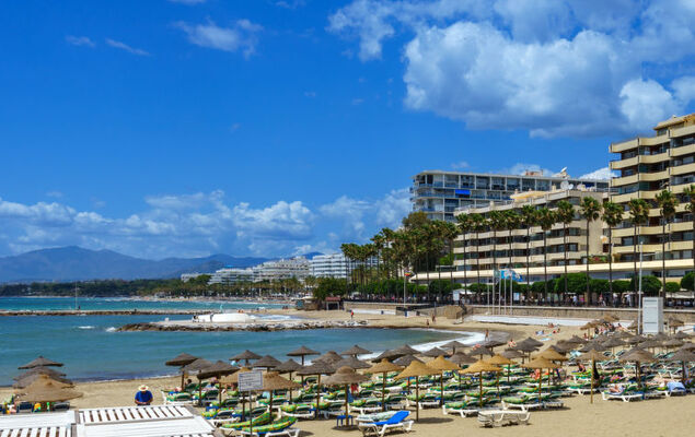 Alvarito Playa - Photo 31