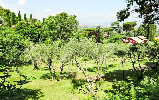 Villa Mina - Photo 47