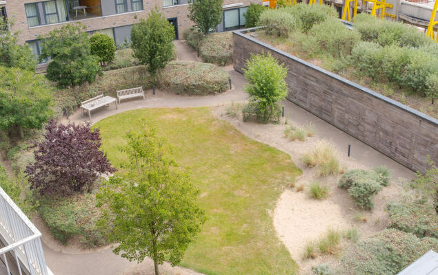 Rooftop Breeze - Photo 30